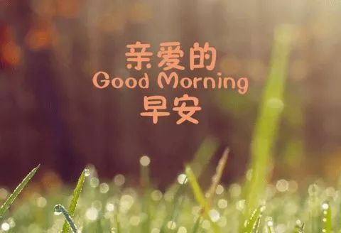 早上好，恋人，短信，大全1