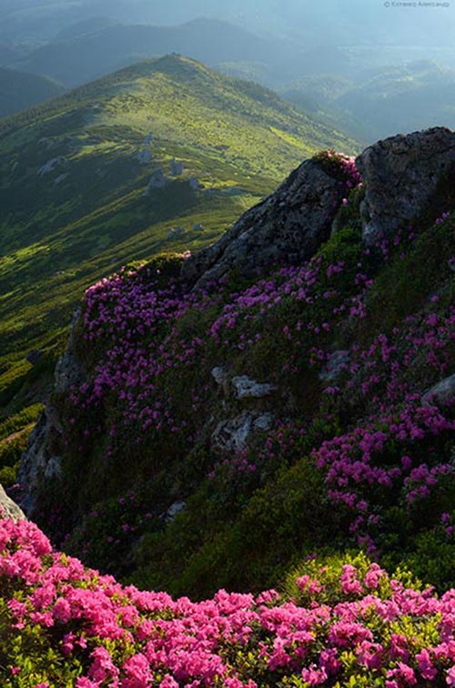 周末等待SMS Daquan 2