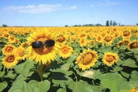 经典周末短信问候1