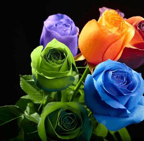 15，歌曲正在唱歌，葡萄酒是信心的，感情是距离，心脏在思考，这个月是帝国，明星是美丽的，桥是等着，我希望你祝福你是幸福的马上。早上好。