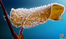 适合霜降发朋友圈的句子