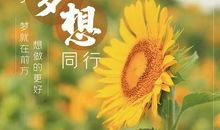 发朋友圈的潮流句子英语