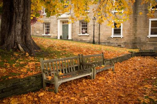 在秋天的2岁的客户问候短信