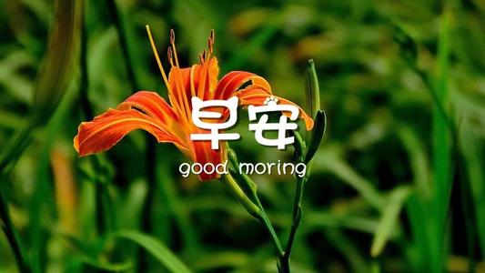 让客户一个早上好，请短信大全2