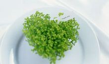 祝福爱情亲情友情的句子