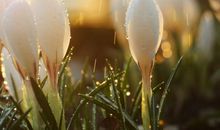 睡到半夜醒来心烦的句子