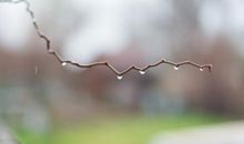 结婚后心烦的句子