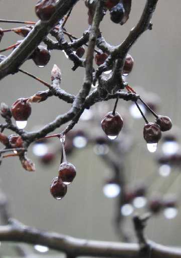 当你心烦意乱时,句子平静下来