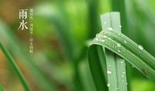 雨水节气客户问候短信