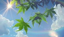 孤独心烦没人陪的句子