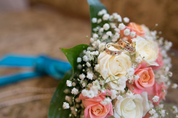 关于友谊的判决