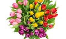 关于友情方面孤独的句子