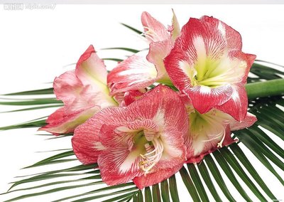 友好的句子古风2适合悬挂