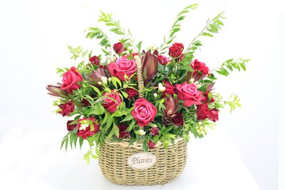 我知道如何感激珍惜友谊的判决