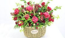 懂得感恩珍惜亲情友情的句子