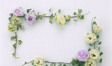 文人笔下的友情句子