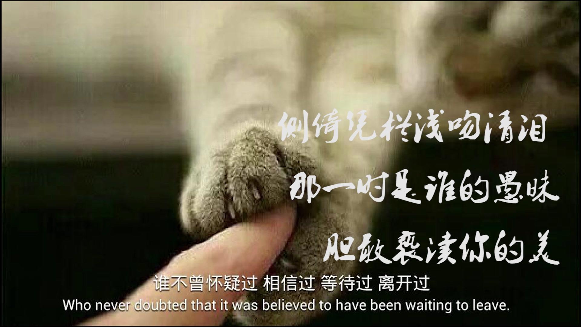 只要你不喜欢爱情,就会判刑