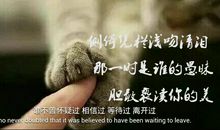 关于只要友情不要爱情的句子