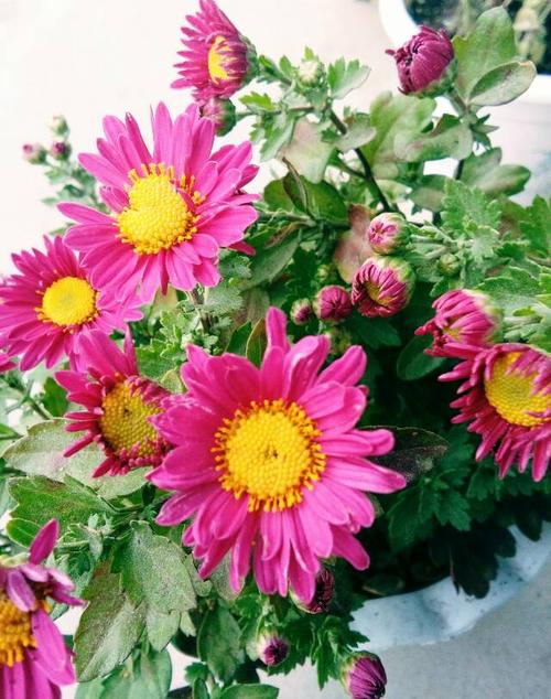 15.始终预见到另一方的需要,而不是你需要的真正友谊。 - Moiria