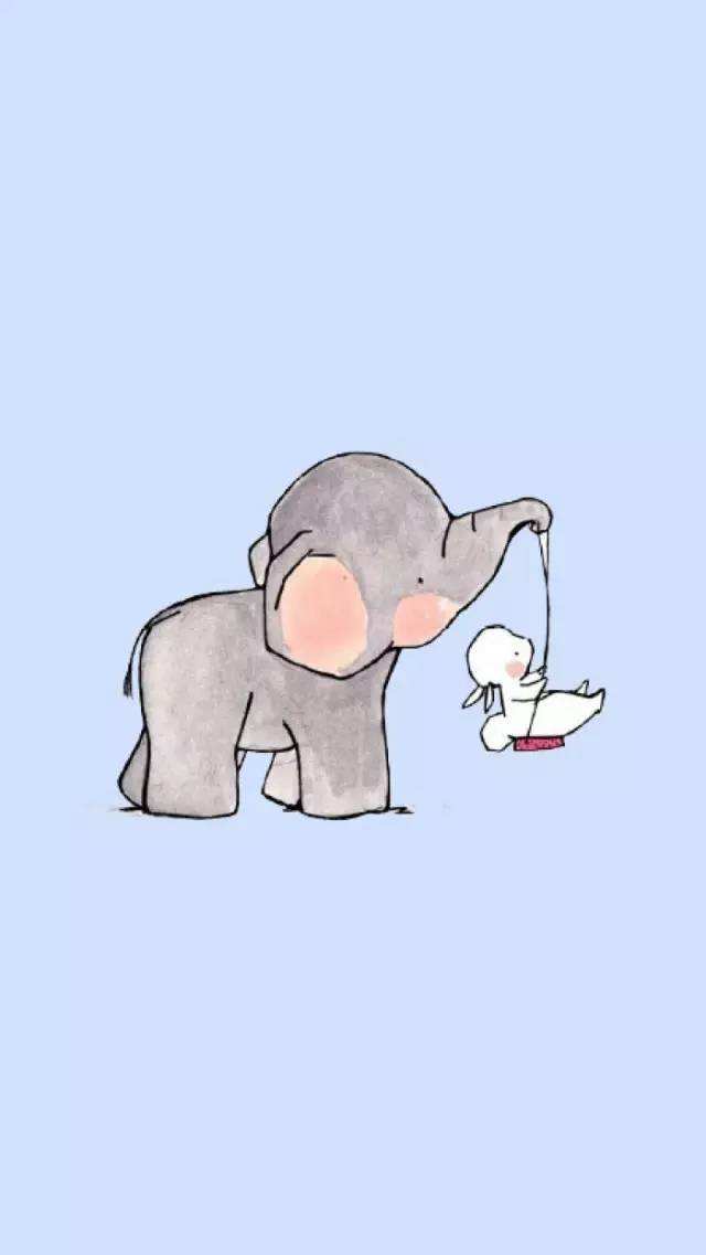 风雨，没有盲目的