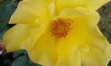 友情相遇不易的句子