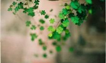 长久的友情维持句子