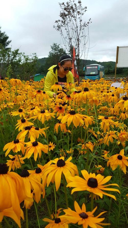 触摸了友好的坚固句