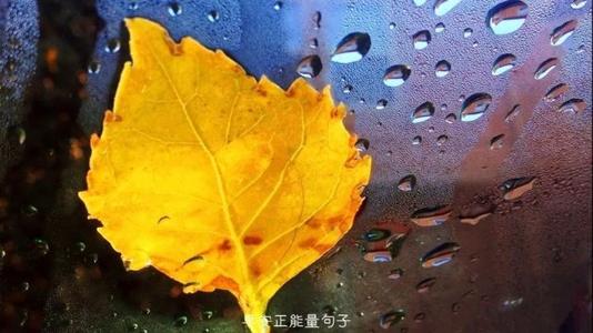 祝我的朋友们是一个幸福的句子1