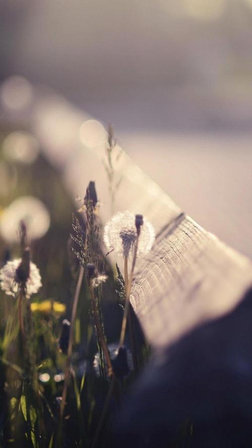 我希望我的朋友们是一个幸福的句子