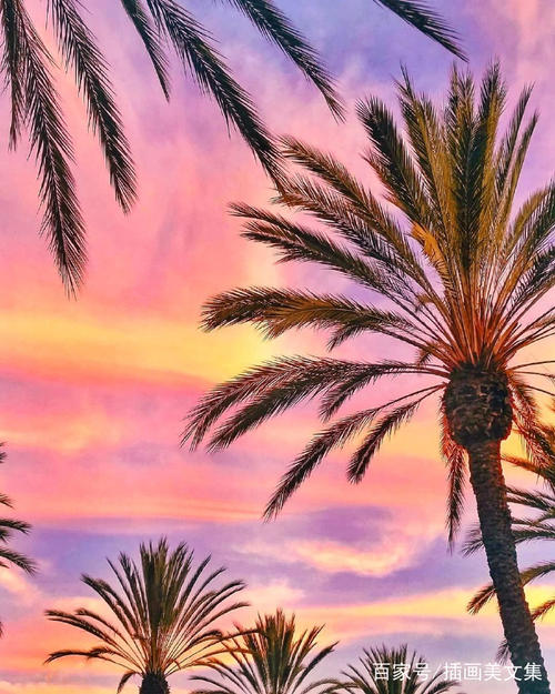 你是我的“棕榈靴”,我是你的“遥控器”。我爱你,但我不想完全“控制”你的生活,我只想默默地祝福你“旅途中的人”一路走来,幸福!