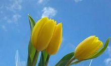 见到爸妈开心的句子