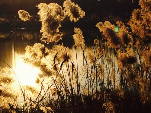 描述一个有趣的句子1