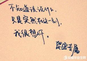 高二表白情话最暖心一段话