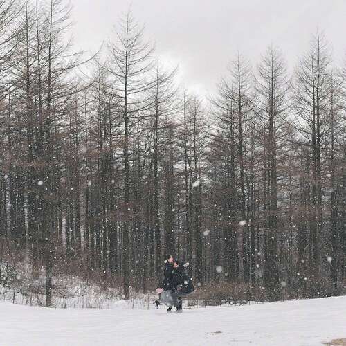 15.现在我明白有人可以悲伤:没有表达的语言没有情感。