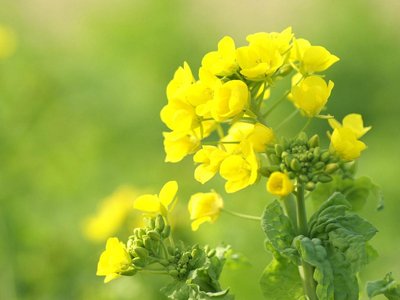 关于浪漫的友谊艺术的判决说心情1