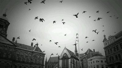 由Mingyue友好的句子测试1