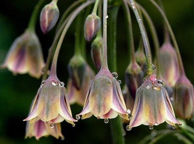 15，所有正在漂流的人，我想找到一个可以被称为“家”的地方。江南“龙”