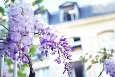 15.友谊是大海，再跌落，可能不宽，一个滴水同样辽阔。