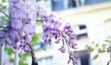 把友情比喻鞋带的句子