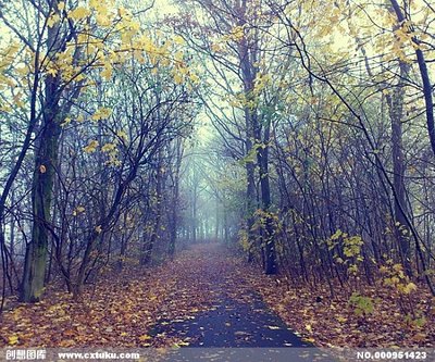 15.就个人而言，只有独自一人的朋友，你会感受到真正的幸福，因为幸福是一个需要分享的亲爱的朋友。我想与你分享幸福的幸福作为记忆中的深刻态度。多年来的岁月仍然很亮起*熠熠就像你就像飞行季节因为共同的野心。