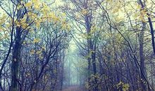 qq珍惜友情的句子霸气