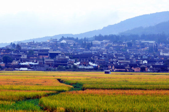 QQ珍惜友谊霸气的句子1