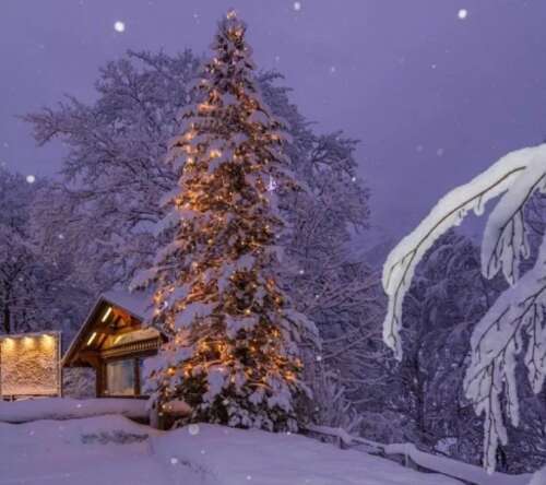 20,当雪正在下雪时,我觉得我是一个小的布丁,被椰子覆盖。