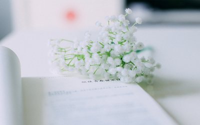 15，所有其他的话，仍然像明天一样。