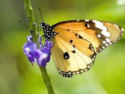 15,我想谈谈爱情,阳光忙,我会出去,去吃,一切都很好,和你一起,我不会挑选它,我会一起去看电影,好莱坞块也很好,国内垃圾恐怖电影也是正确的。