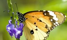 甜蜜幸福爱情句子