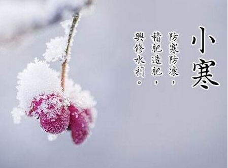 二十四个短暂的句子1