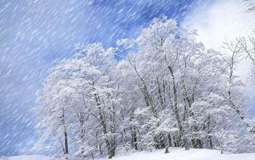 在雪的短文案例