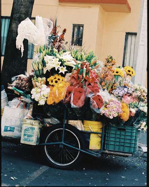 15.它可以伴随着增长的行,但没有办法分享这是遗憾的。