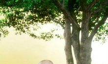 自己渡自己的佛语